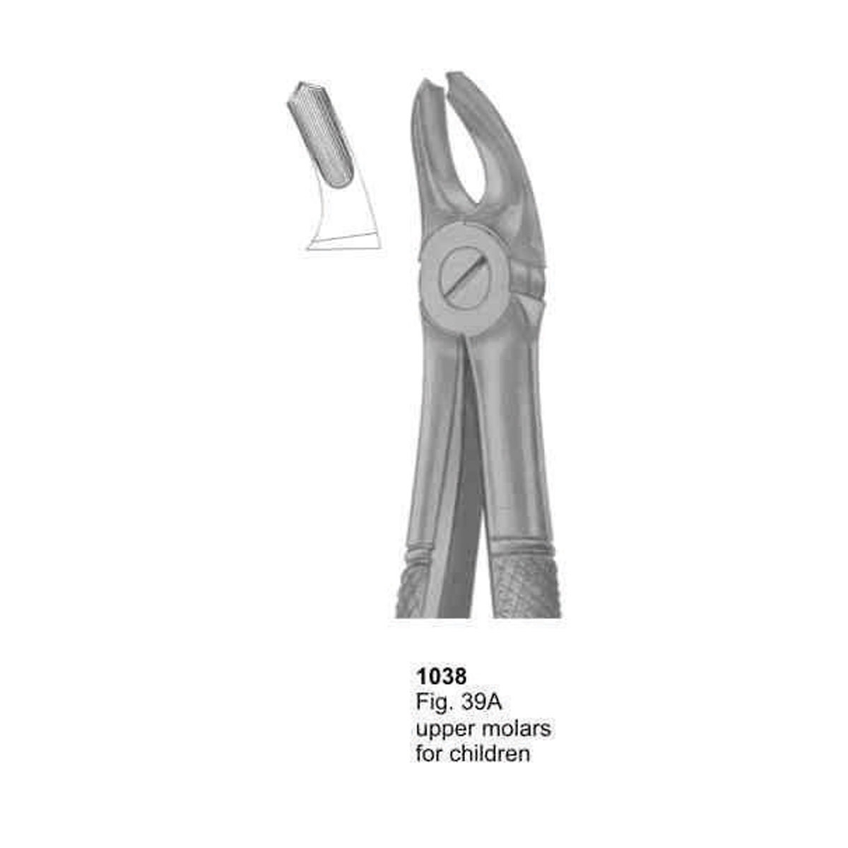 Extracting Forceps (English Pattern)