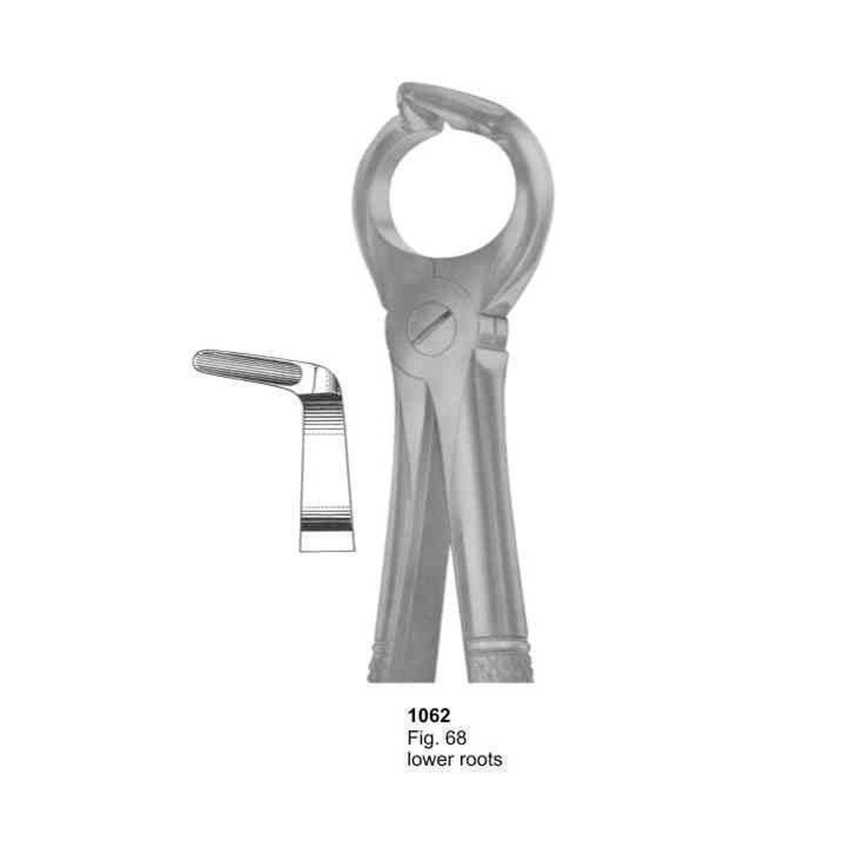 Extracting Forceps (English Pattern)