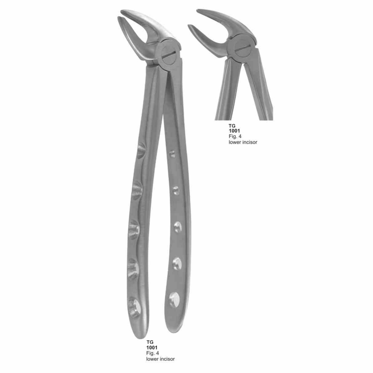 Extracting Forceps (English Pattern)