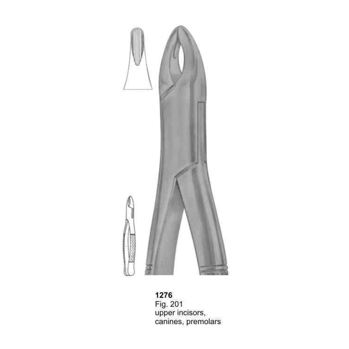 Extracting Forceps (American Pattern)