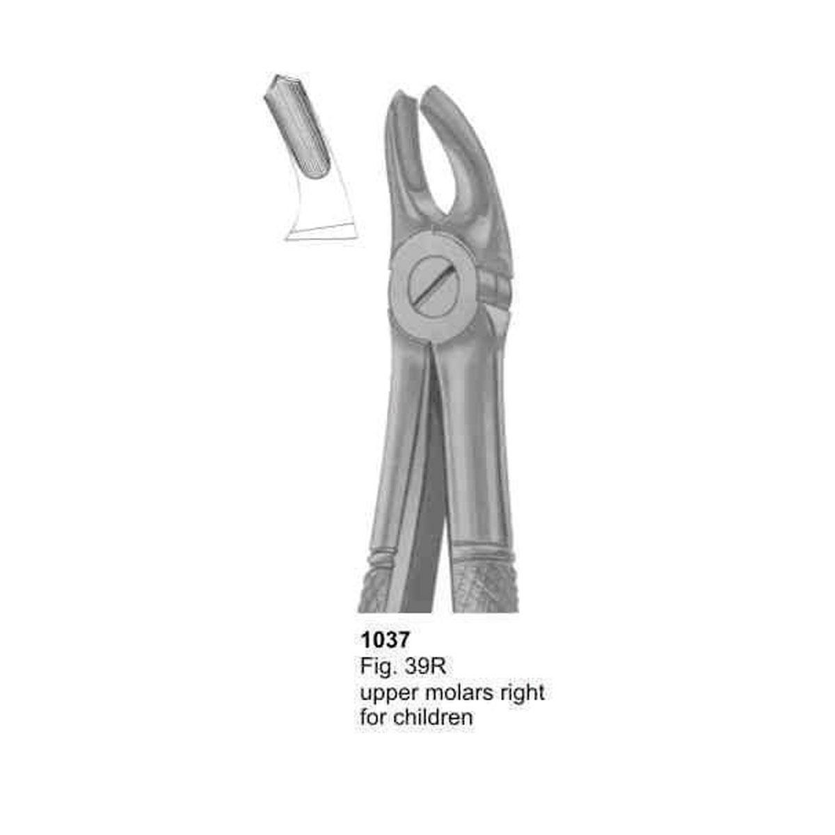 Extracting Forceps (English Pattern)