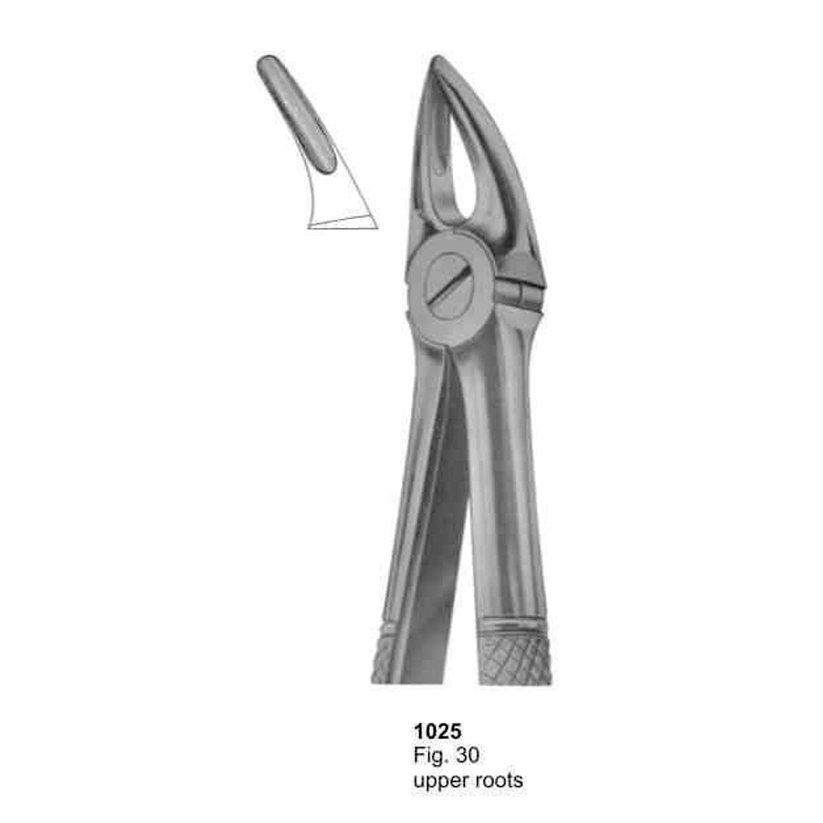 Extracting Forceps (English Pattern)