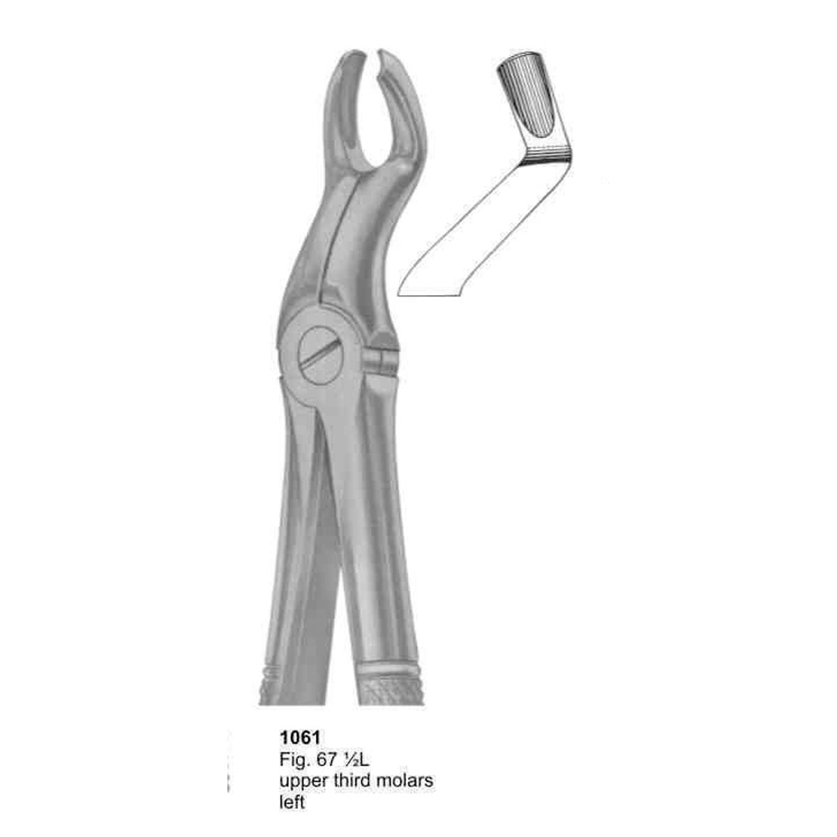 Extracting Forceps (English Pattern)