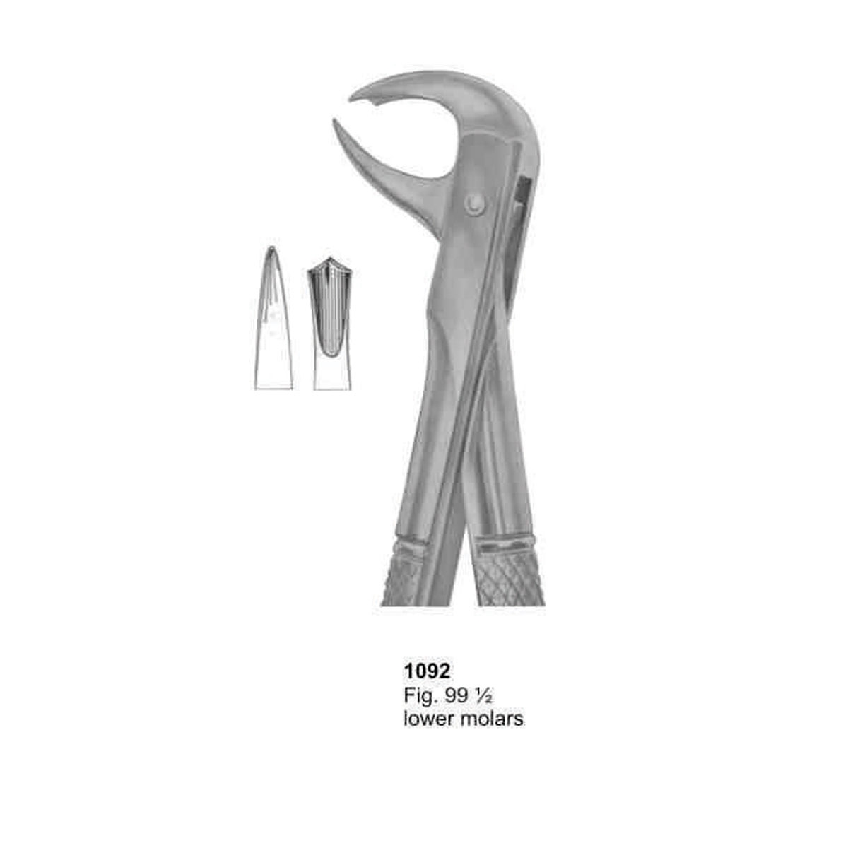 Extracting Forceps (English Pattern)