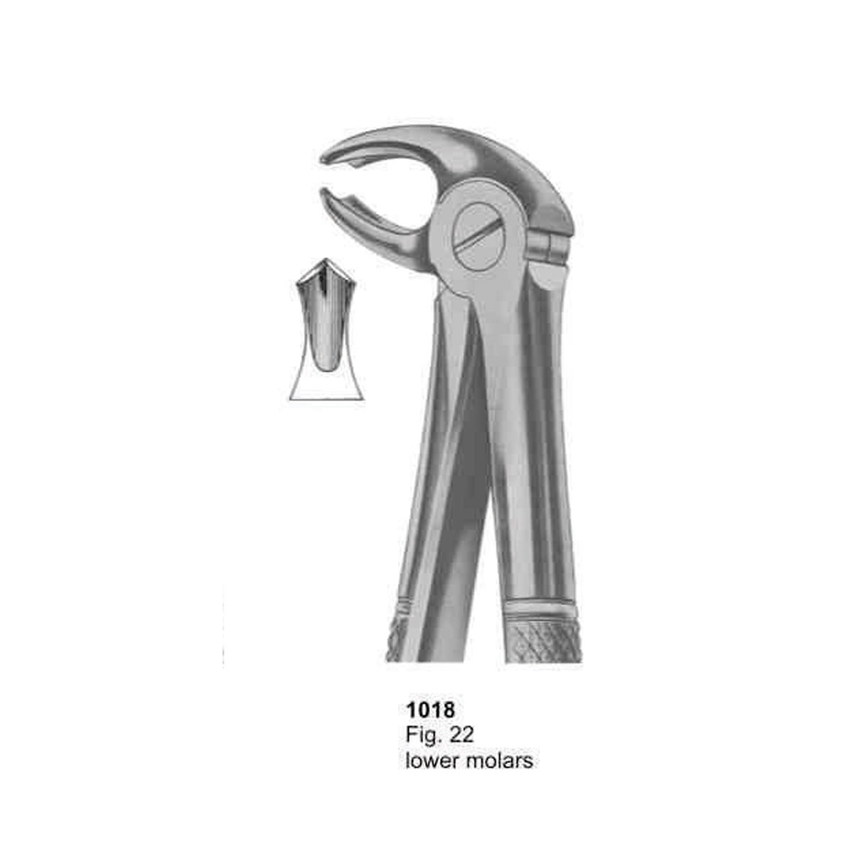 Extracting Forceps (English Pattern)