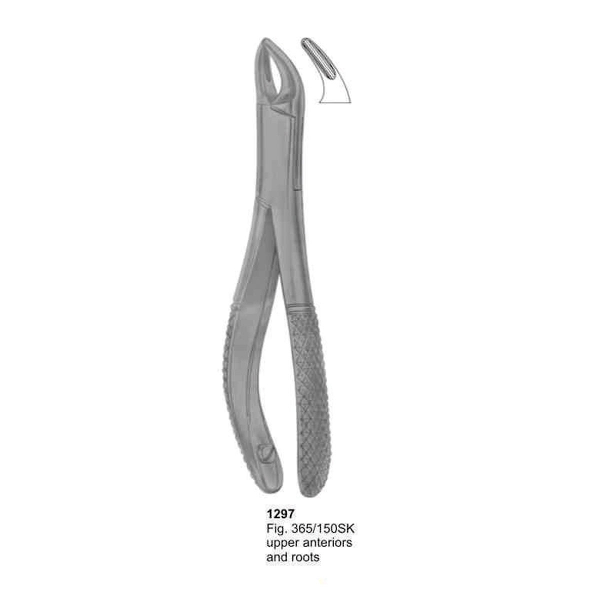 Extracting Forceps (American Pattern)