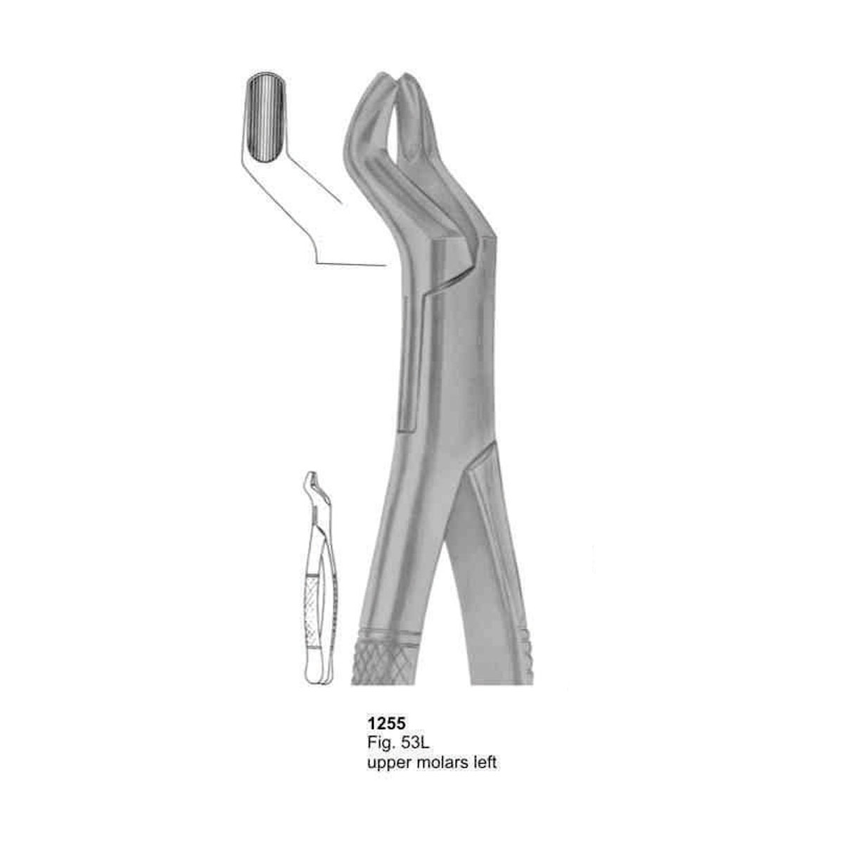 Extracting Forceps (American Pattern) 