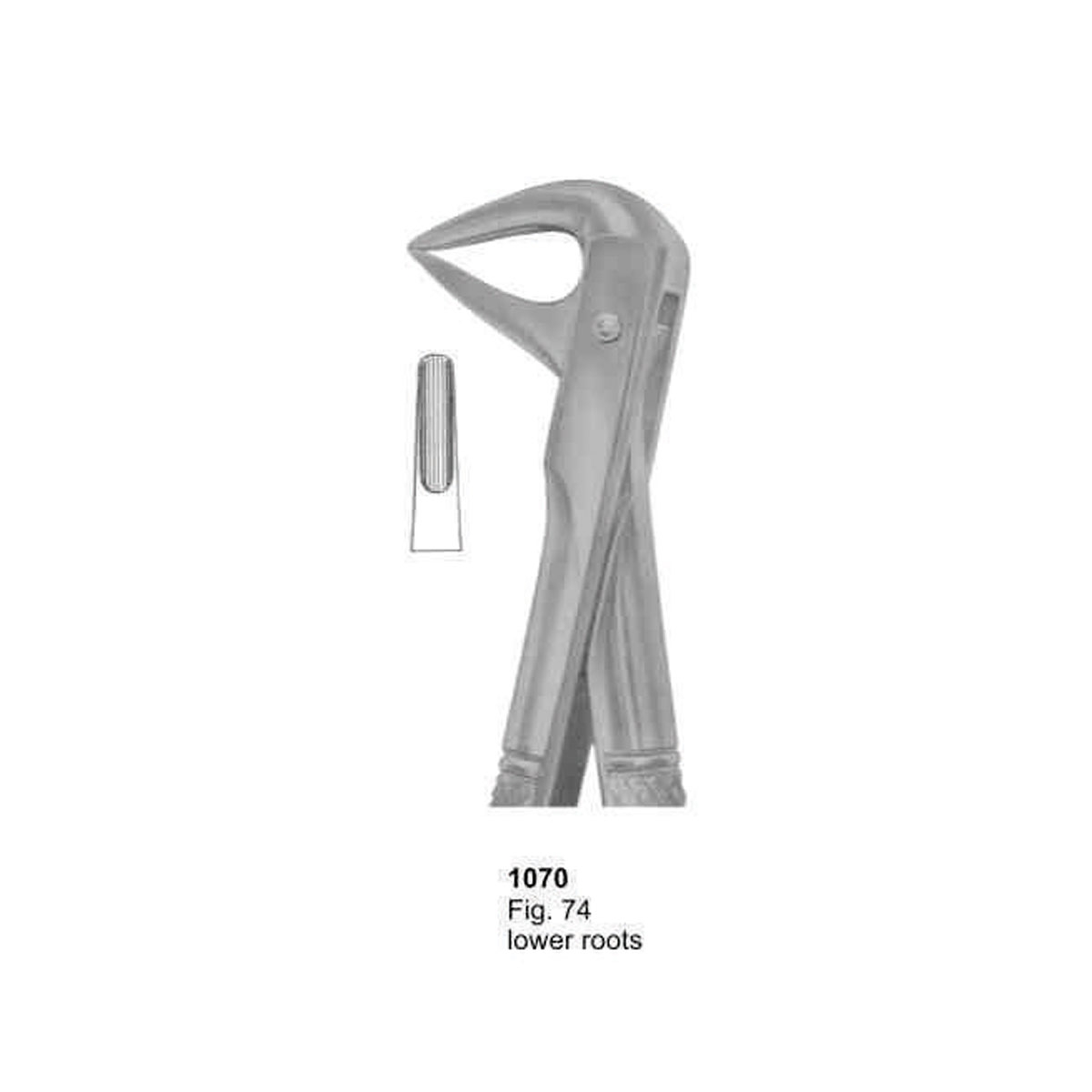 Extracting Forceps (English Pattern)