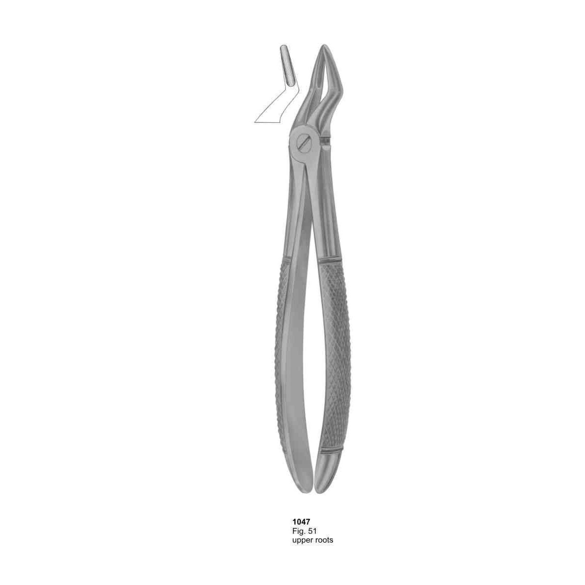 Extracting Forceps (English Pattern)