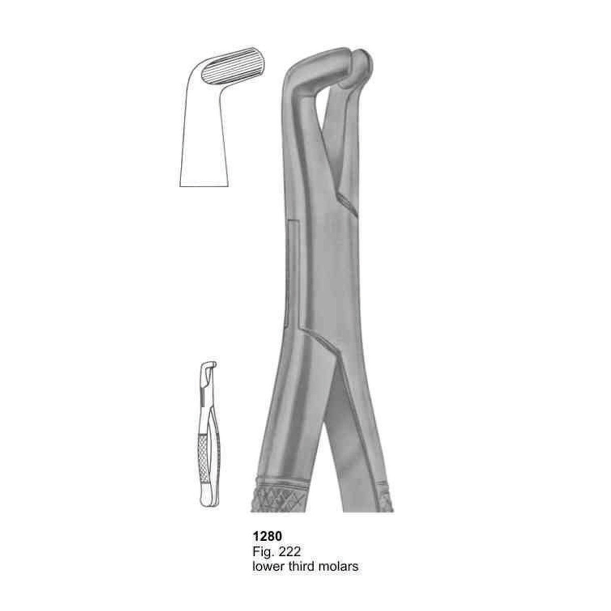 Extracting Forceps (American Pattern)