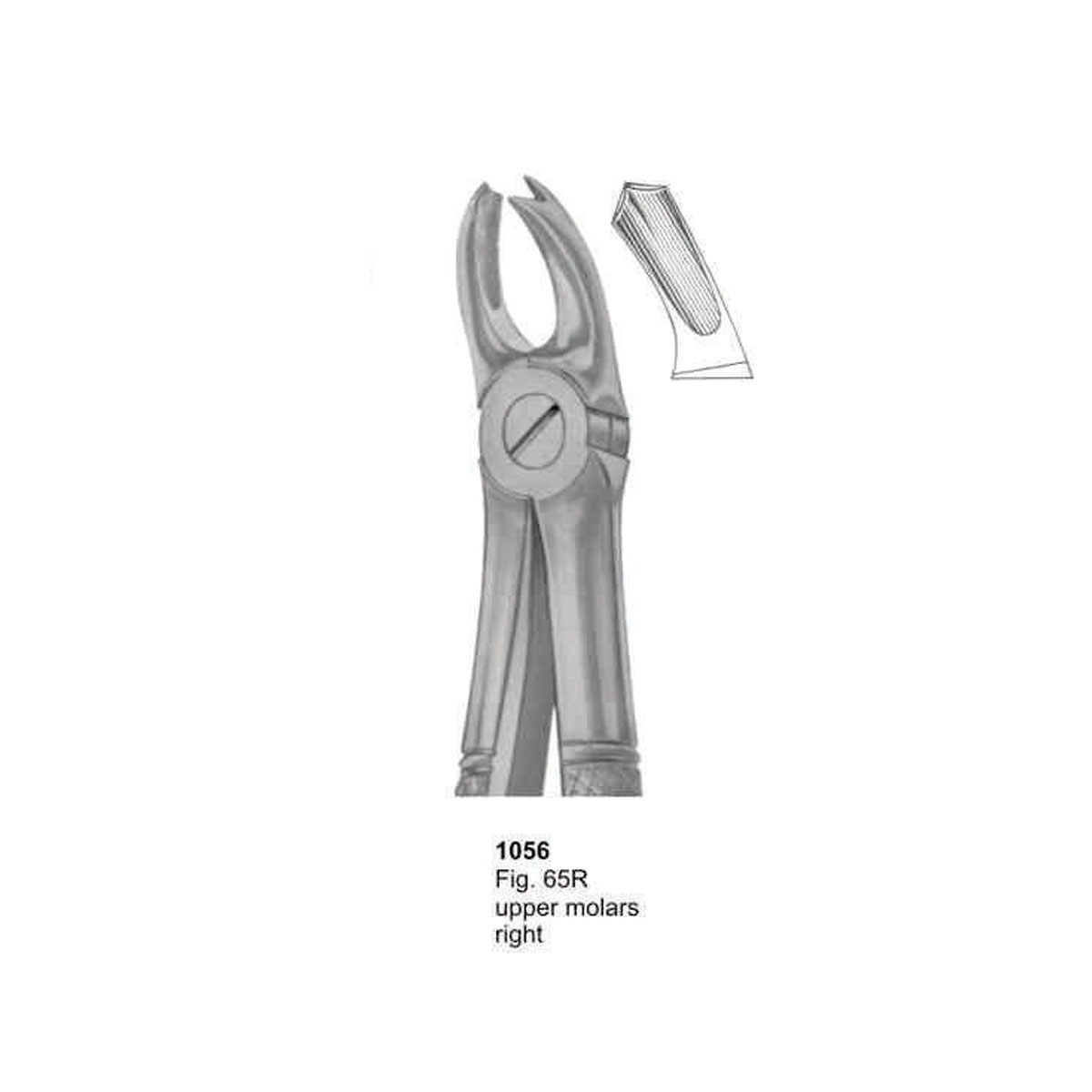 Extracting Forceps (English Pattern)