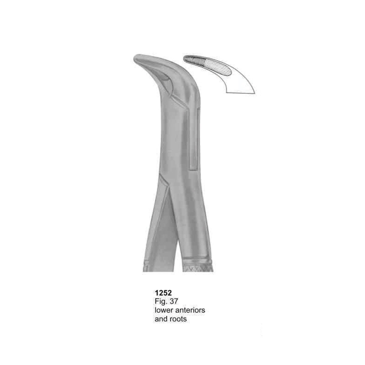 Extracting Forceps (American Pattern) 