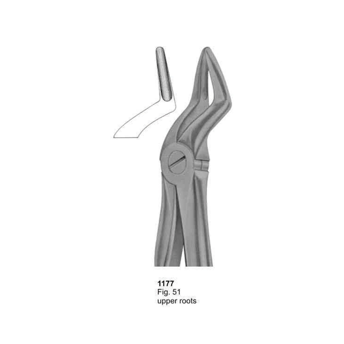 Extracting Forceps (With Fitting Handle)