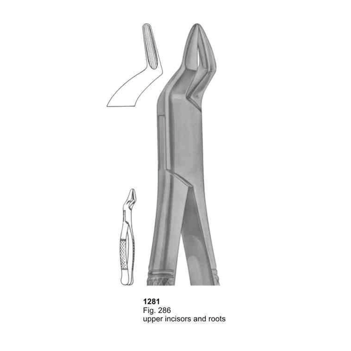 Extracting Forceps (American Pattern)