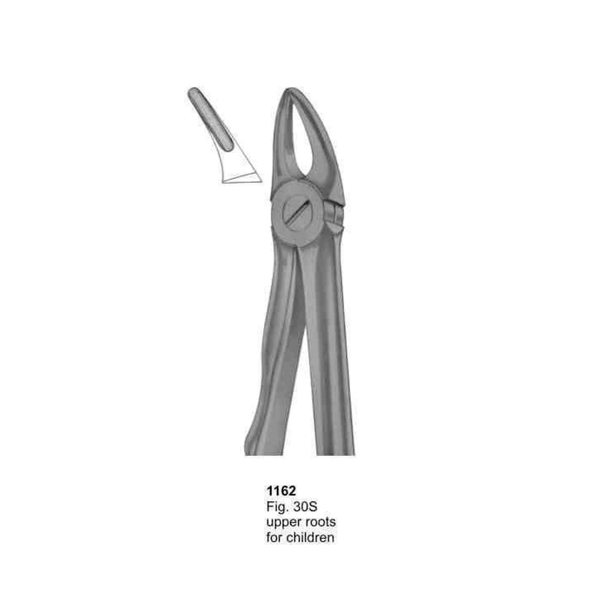 Extracting Forceps (With Fitting Handle)