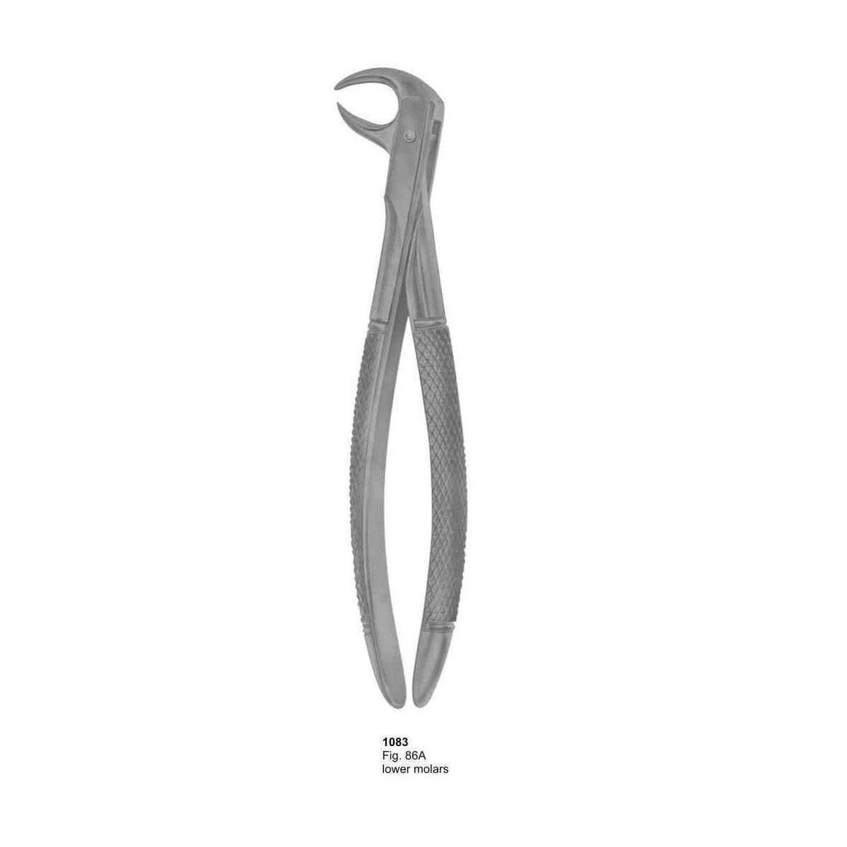 Extracting Forceps (English Pattern)