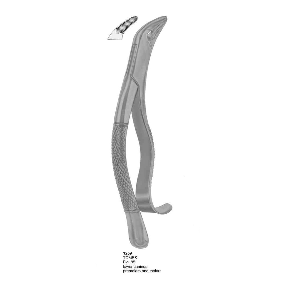 Extracting Forceps (American Pattern) 