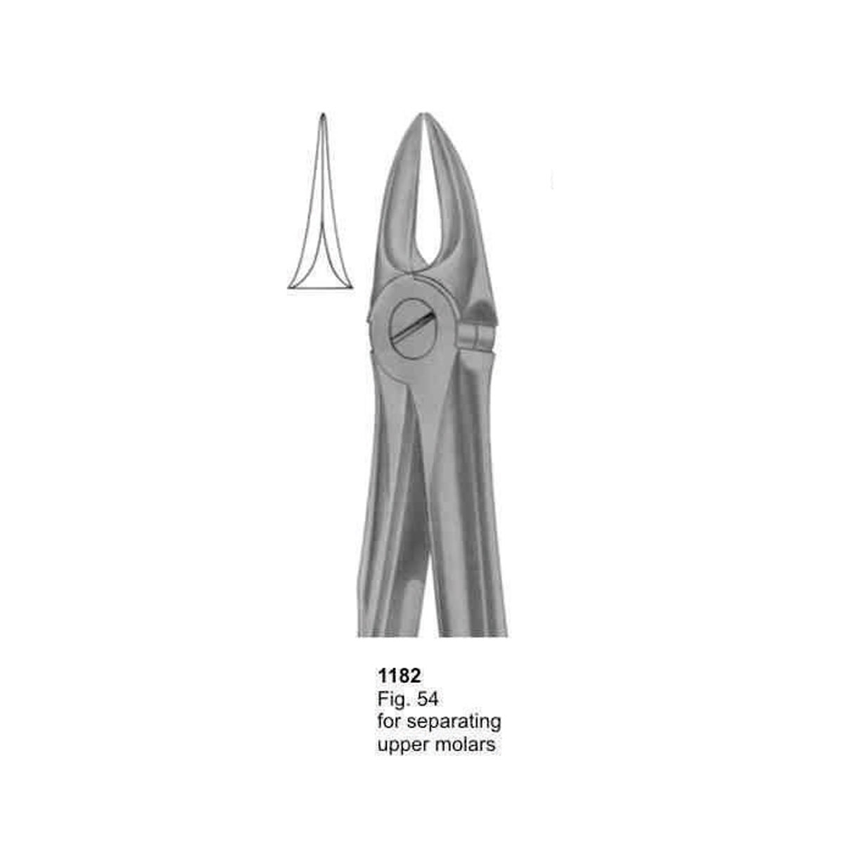 Extracting Forceps (With Fitting Handle)