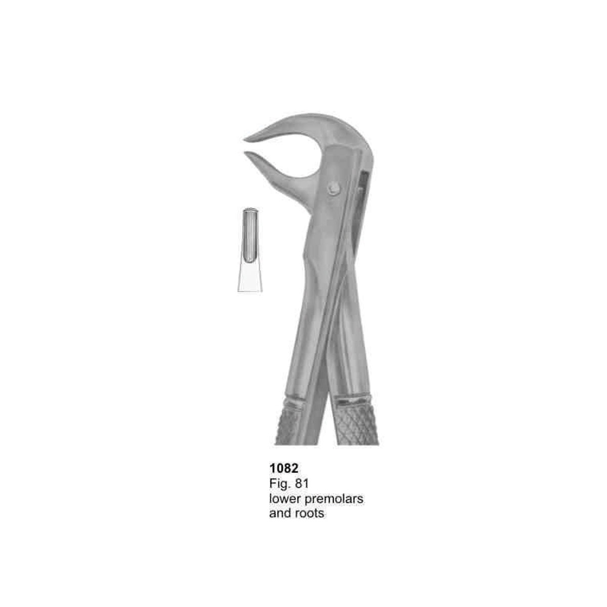 Extracting Forceps (English Pattern)