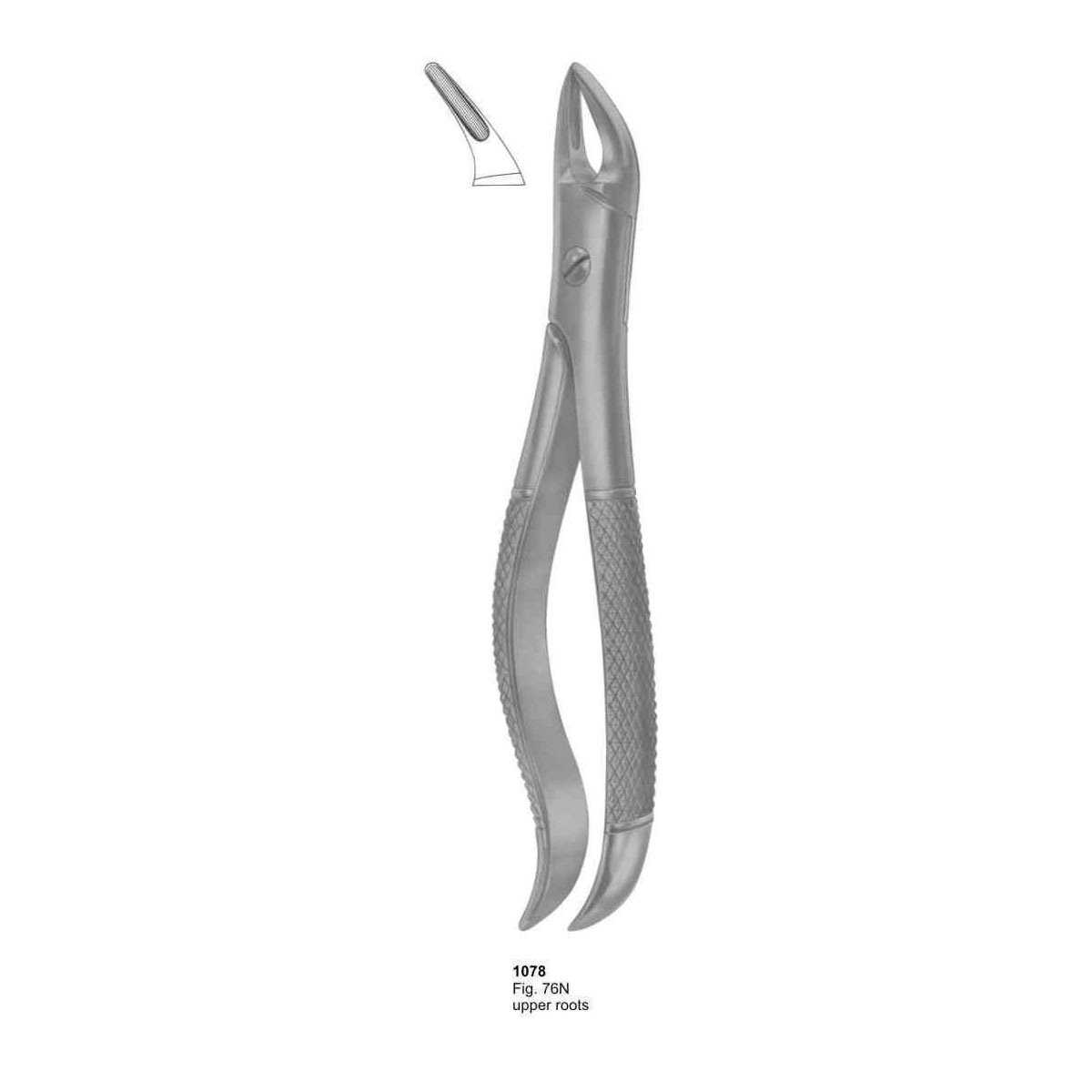 Extracting Forceps (English Pattern)