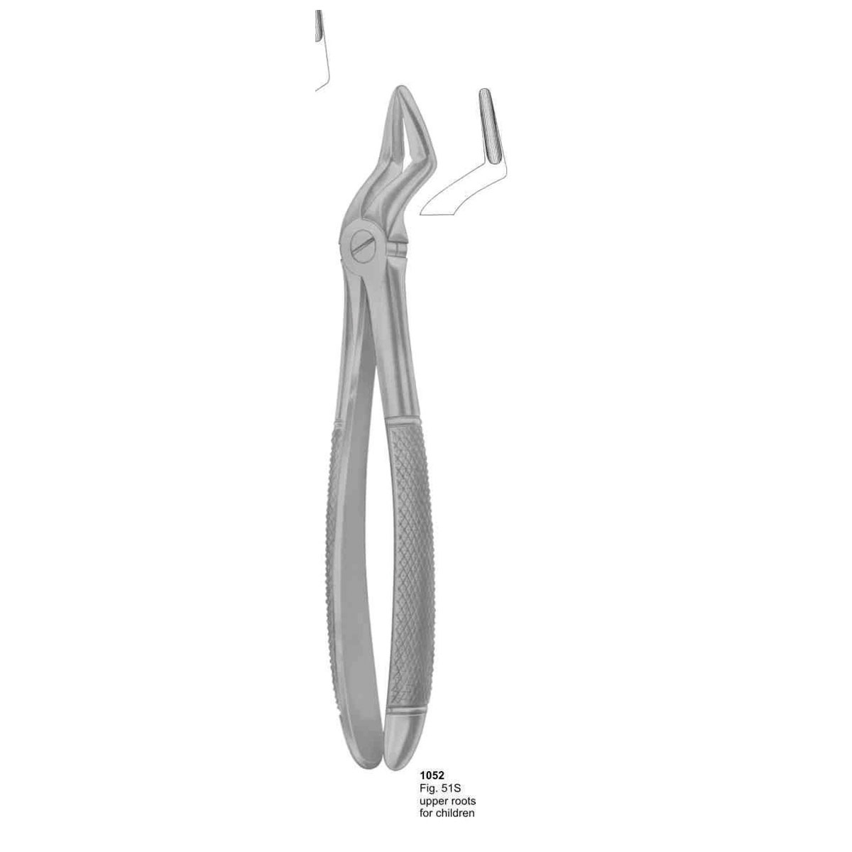 Extracting Forceps (English Pattern)