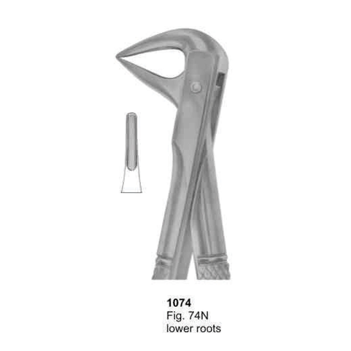 Extracting Forceps (English Pattern)