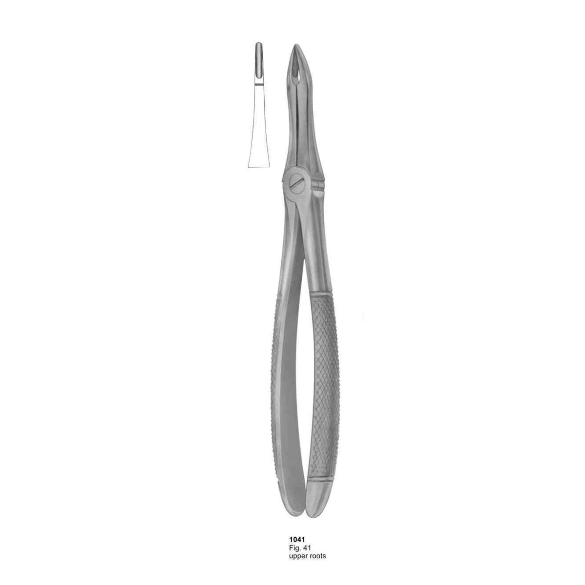 Extracting Forceps (English Pattern) 