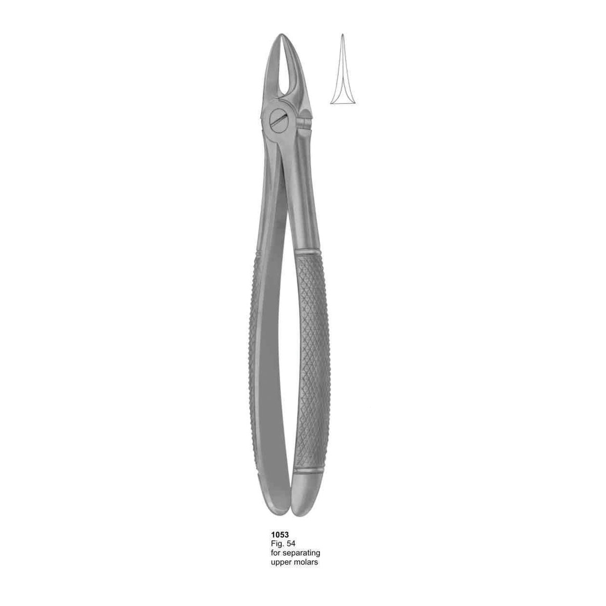 Extracting Forceps (English Pattern)