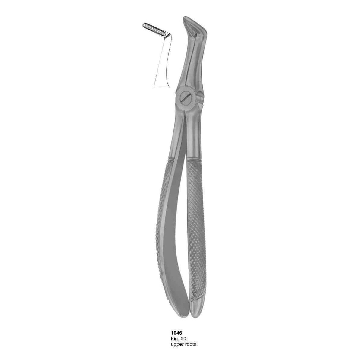 Extracting Forceps (English Pattern) 