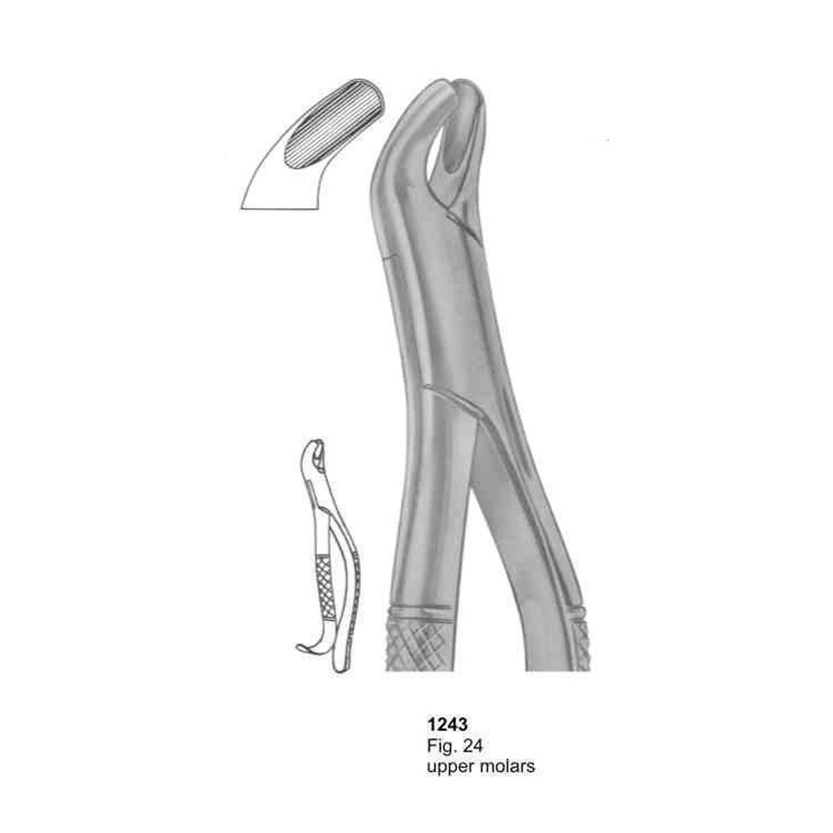 Extracting Forceps (American Pattern)