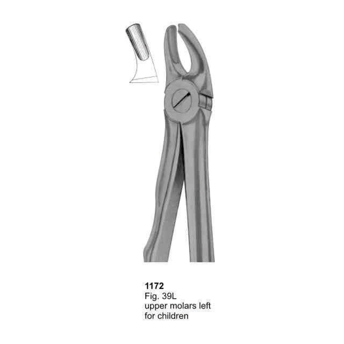 Extracting Forceps (With Fitting Handle)