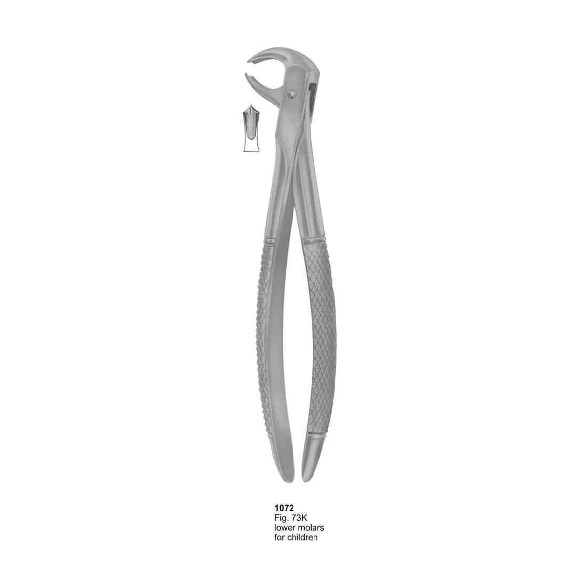 Extracting Forceps (English Pattern)