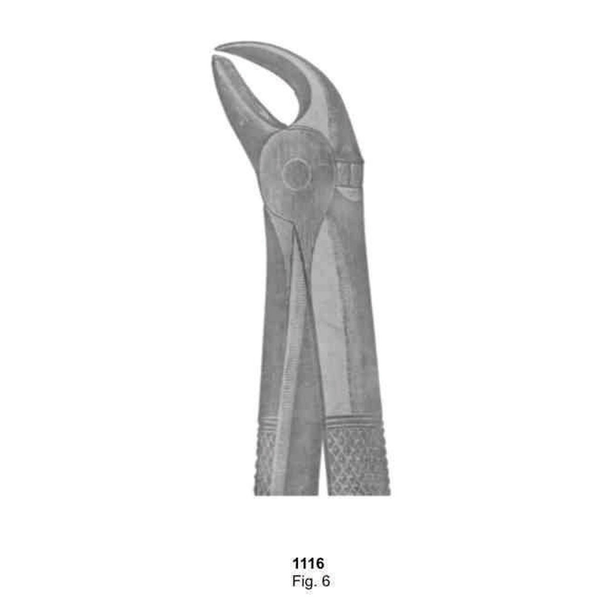 Extracting Forceps (English Pattern)