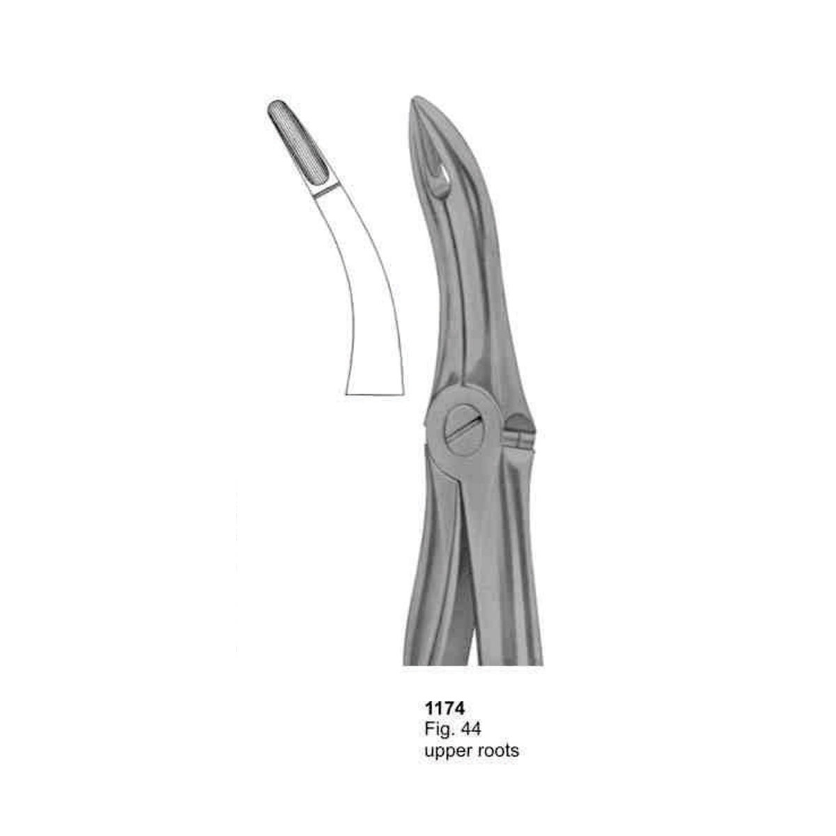 Extracting Forceps (With Fitting Handle)