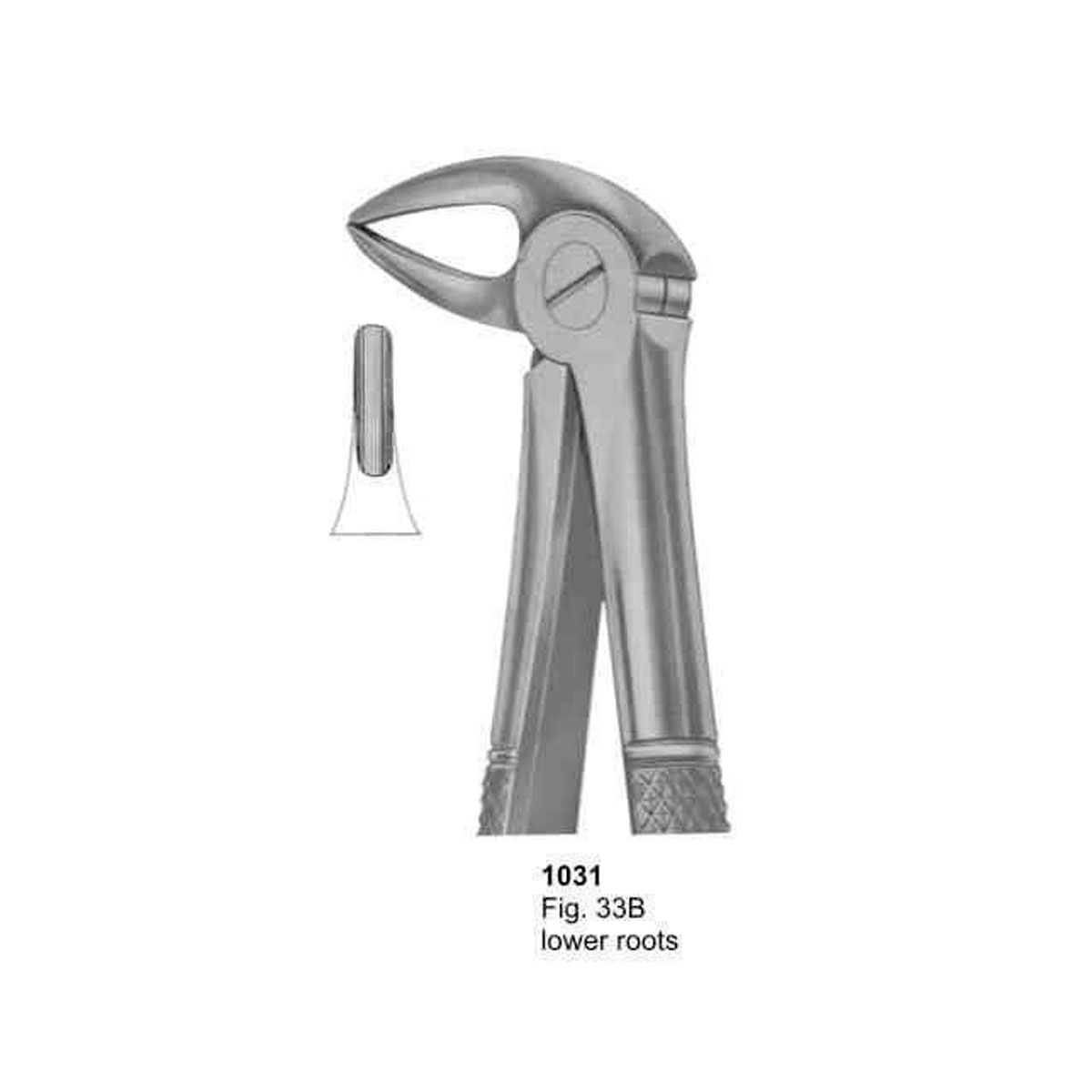 Extracting Forceps (English Pattern)