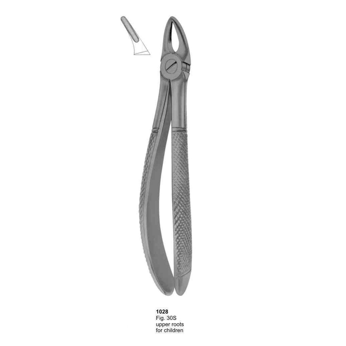 Extracting Forceps (English Pattern)