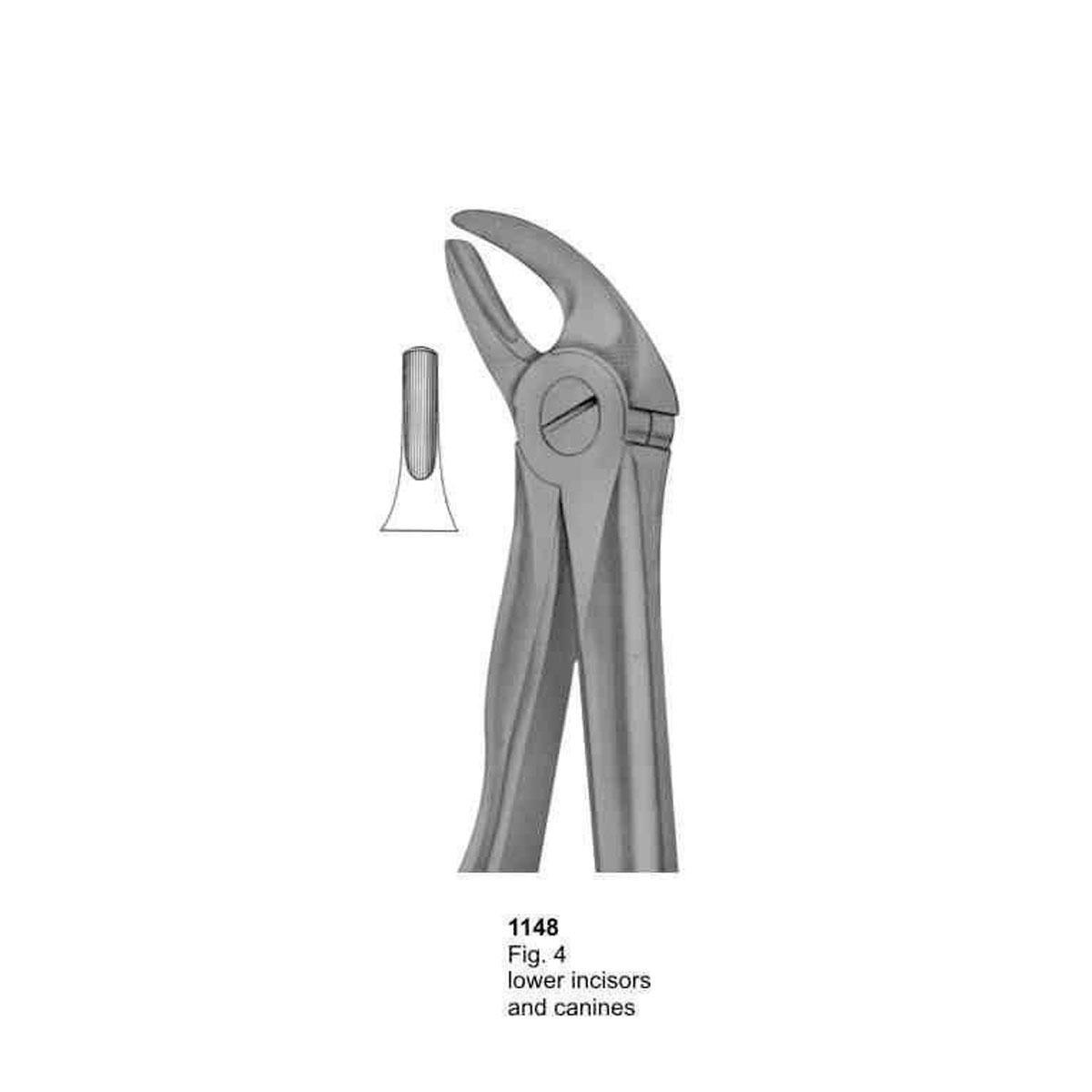 Extracting Forceps (With Fitting Handle)