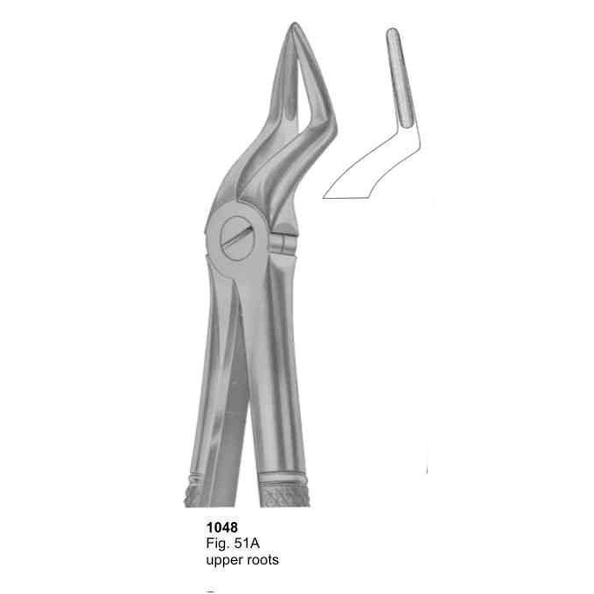 Extracting Forceps (English Pattern)