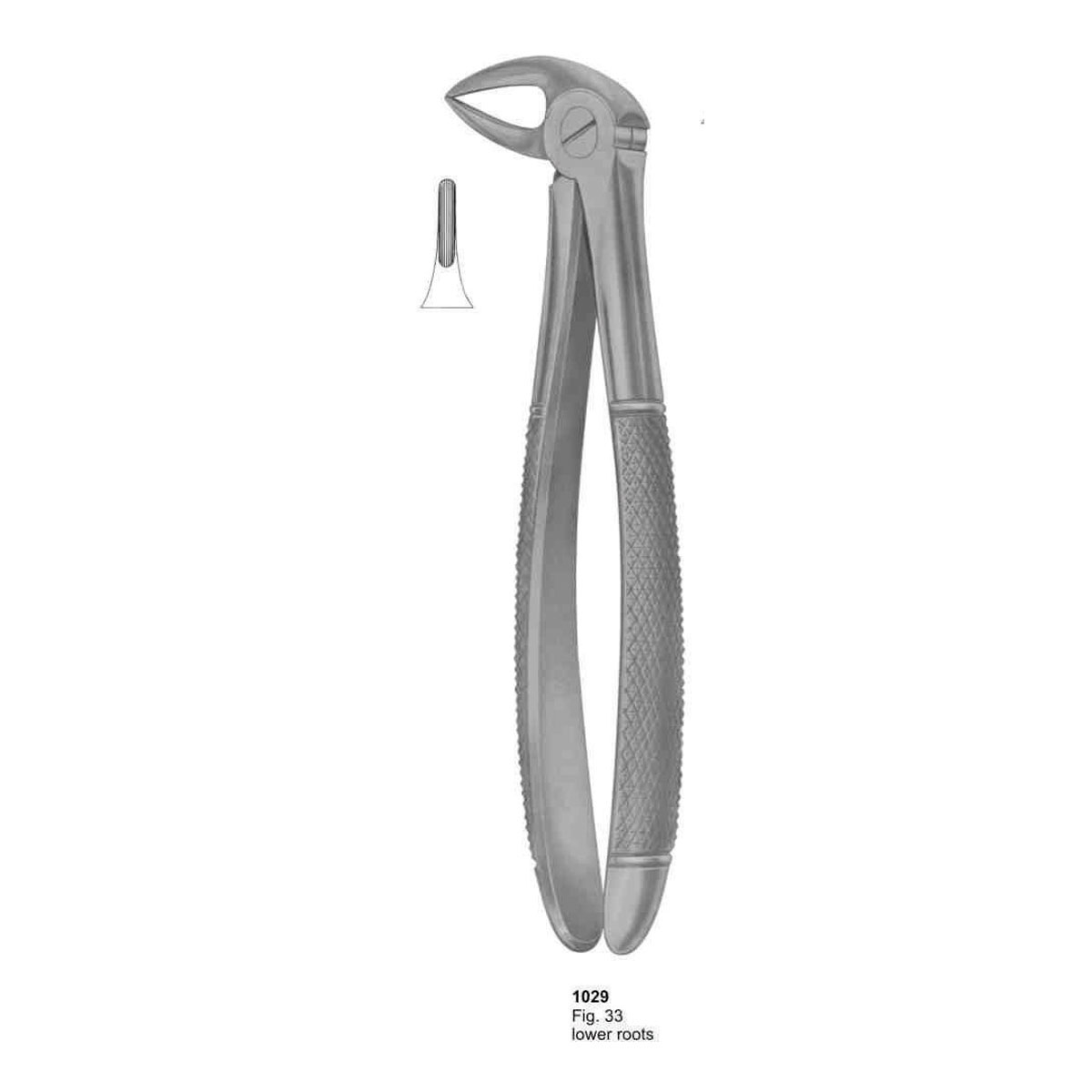 Extracting Forceps (English Pattern)