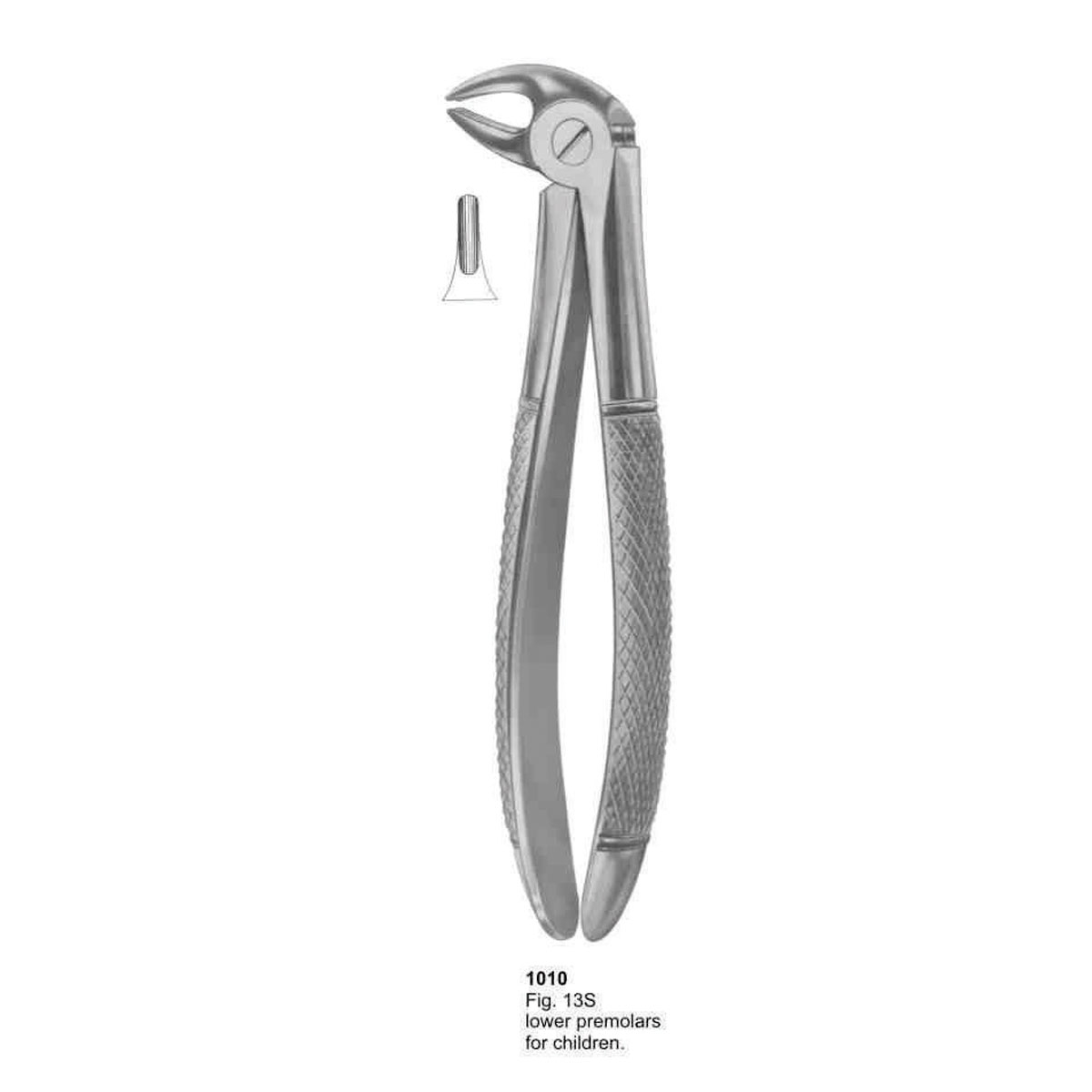 Extracting Forceps (English Pattern)