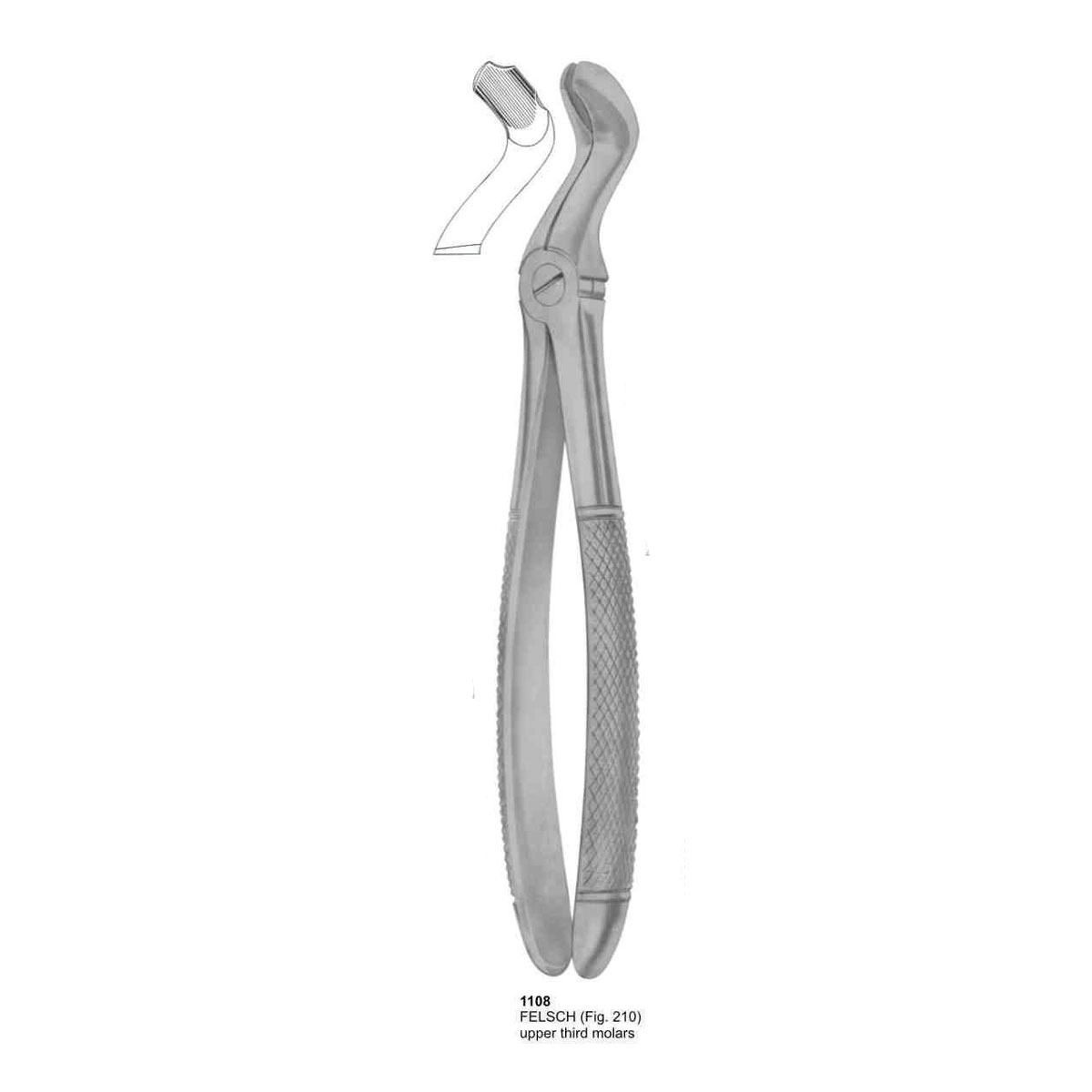 Extracting Forceps (English Pattern)