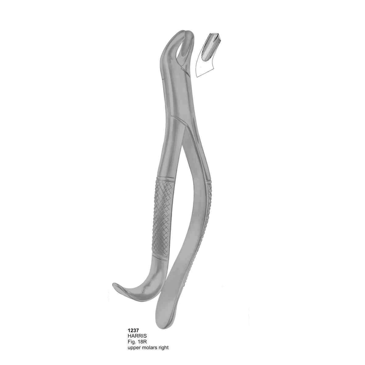 Extracting Forceps (American Pattern)