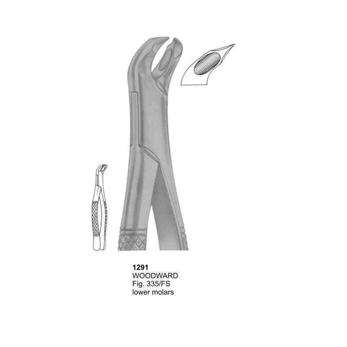 Extracting Forceps (American Pattern)