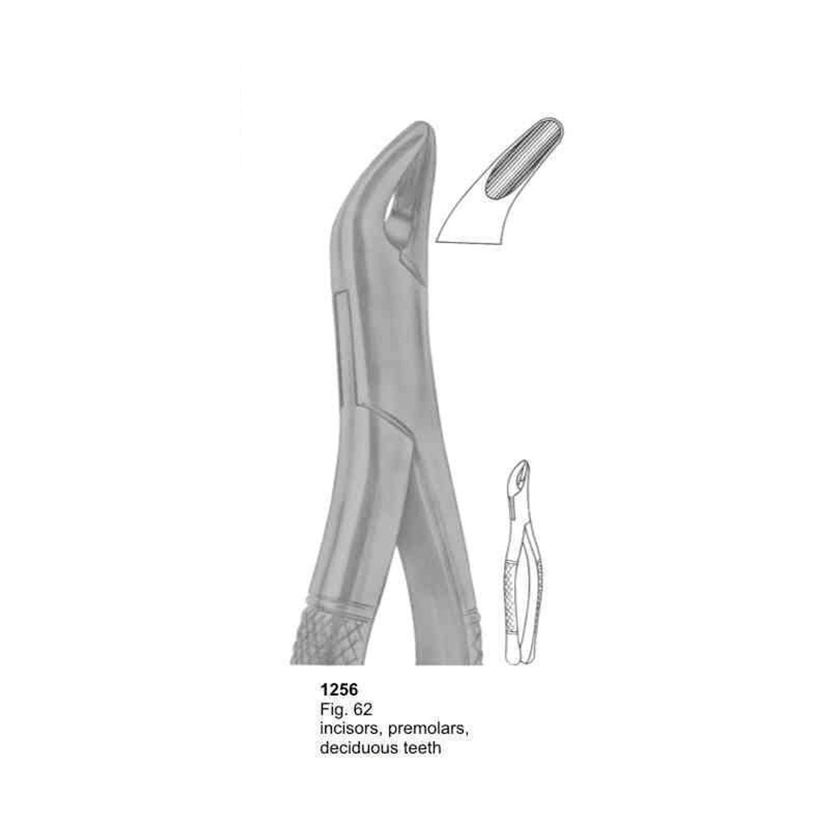 Extracting Forceps (American Pattern) 