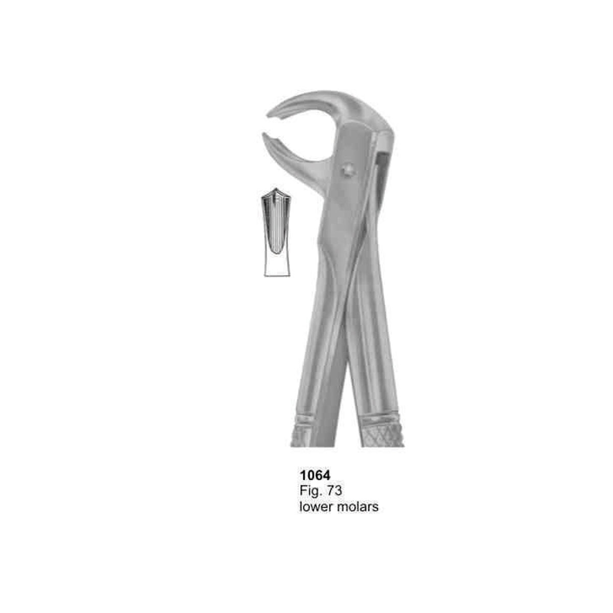 Extracting Forceps (English Pattern)