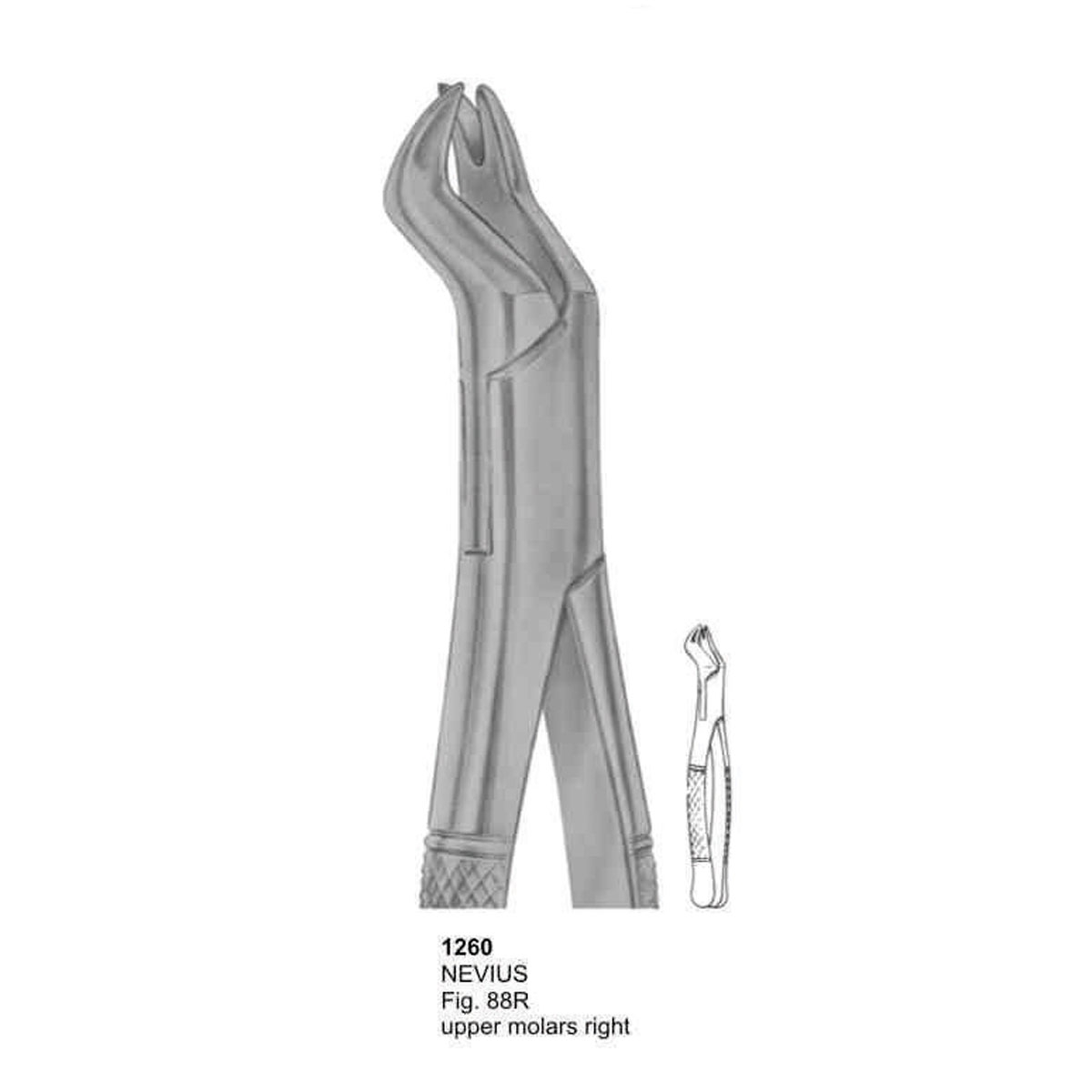 Extracting Forceps (American Pattern) 