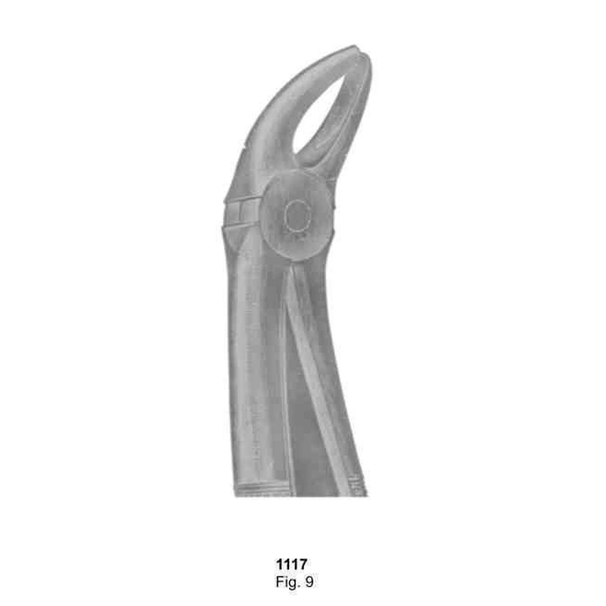 Extracting Forceps (English Pattern)