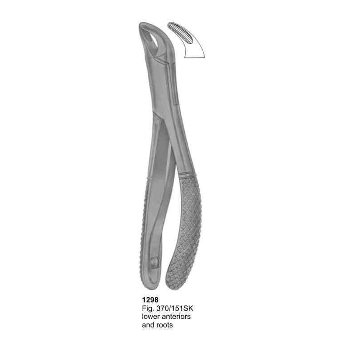 Extracting Forceps (American Pattern)