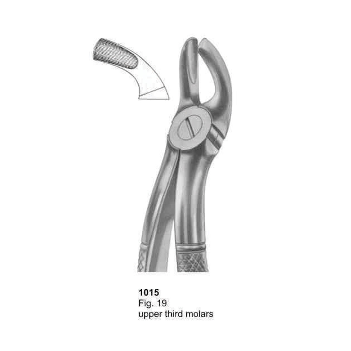 Extracting Forceps (English Pattern)