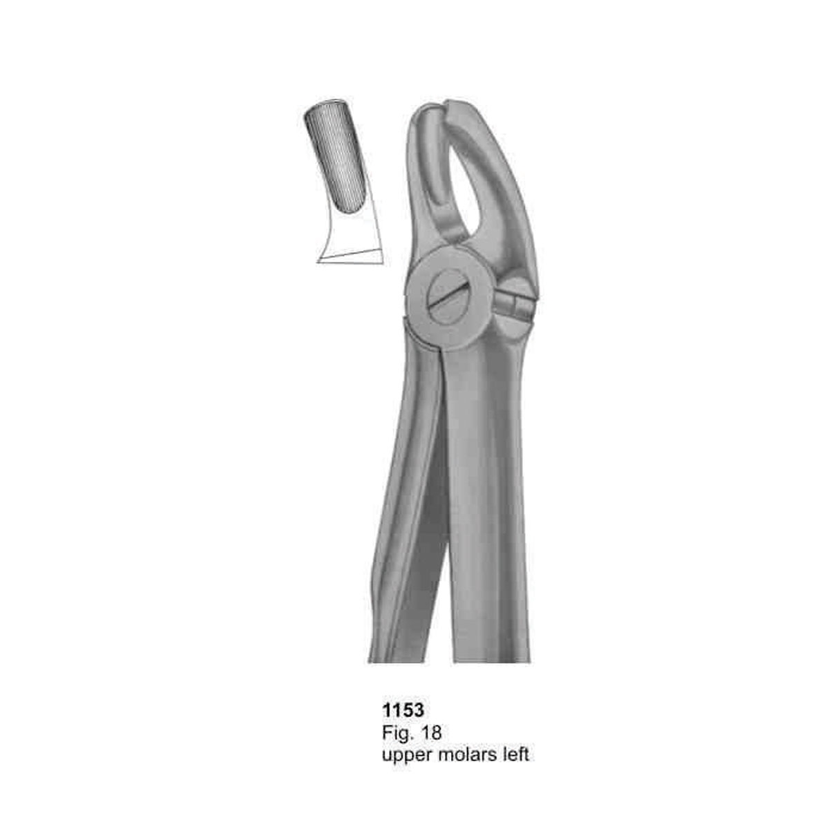 Extracting Forceps (With Fitting Handle)